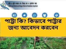 জমির পাট্টা কি? কিভাবে পাওয়া যাবে পাট্টা জমির আইন