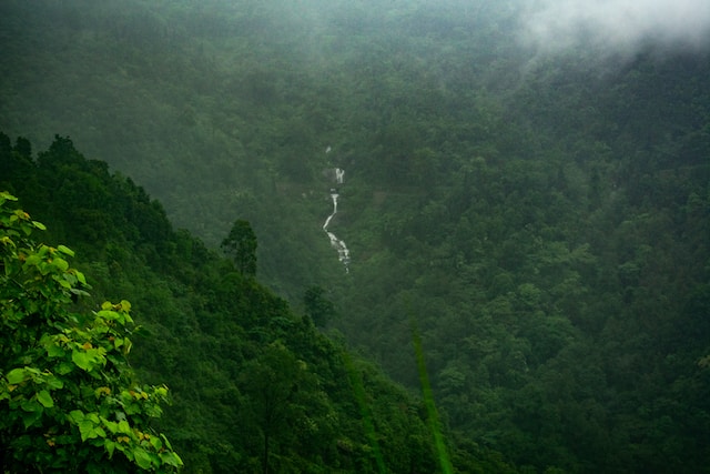 উত্তরবঙ্গের দর্শনীয় স্থান, Lava and Lolegaon DARJEELING